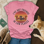 I've Got Friends In Low Places T-Shirt
