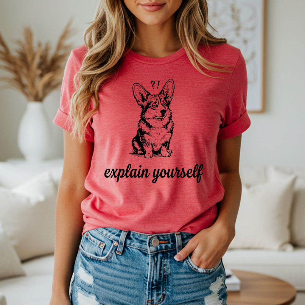 Corgi with question marks and "explain yourself" text.