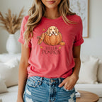 Dog peeking out of pumpkin with "Hello Pumpkin" text on a red t-shirt.