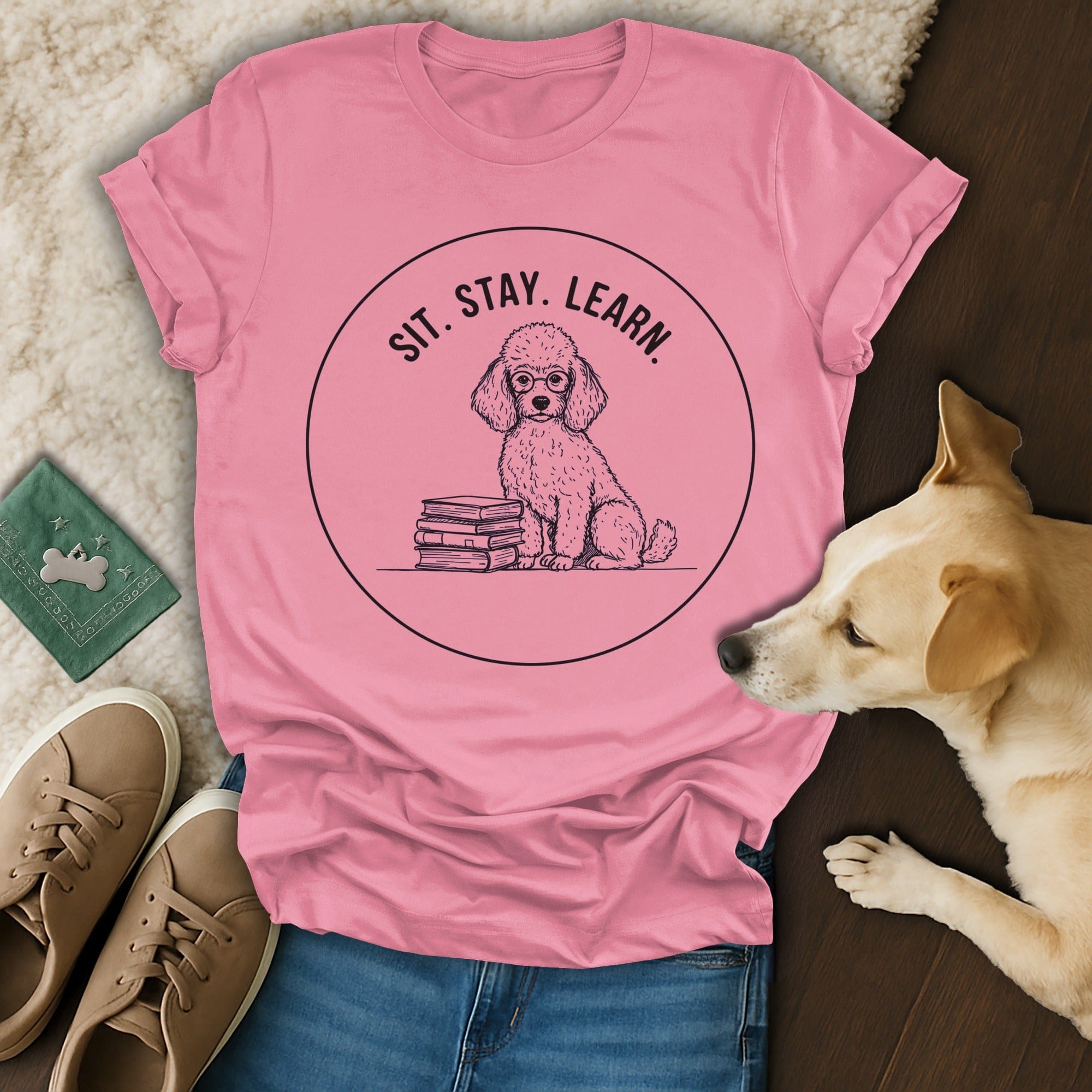 Sit Stay Learn Dog 🐩