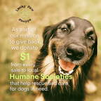 Lucky Paw Shoppe donates $1 from every sale to local Humane Societies.