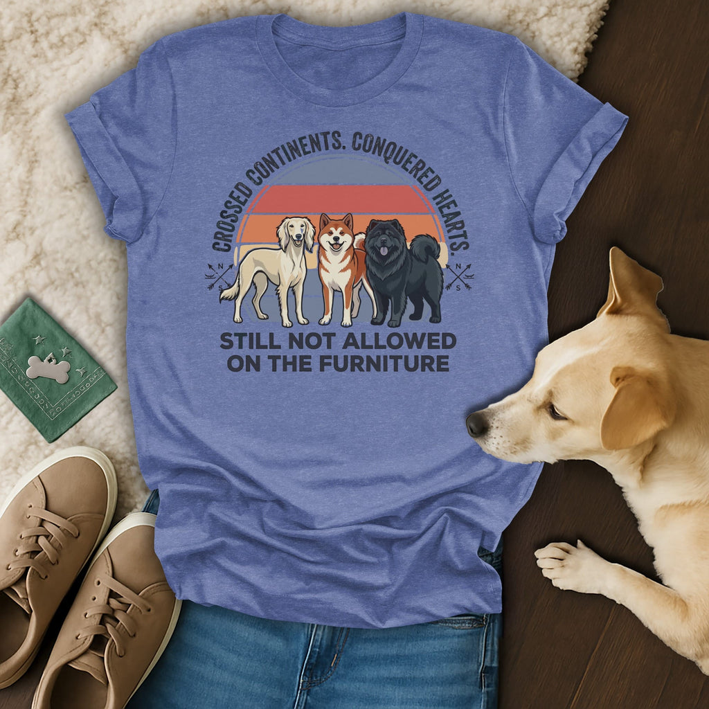 Three dogs stand on a blue t-shirt with text "CROSSED CONTINENTS, CONQUERED HEARTS. STILL NOT ALLOWED ON THE FURNITURE."