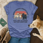 Three dogs stand on a blue t-shirt with text "CROSSED CONTINENTS, CONQUERED HEARTS. STILL NOT ALLOWED ON THE FURNITURE."