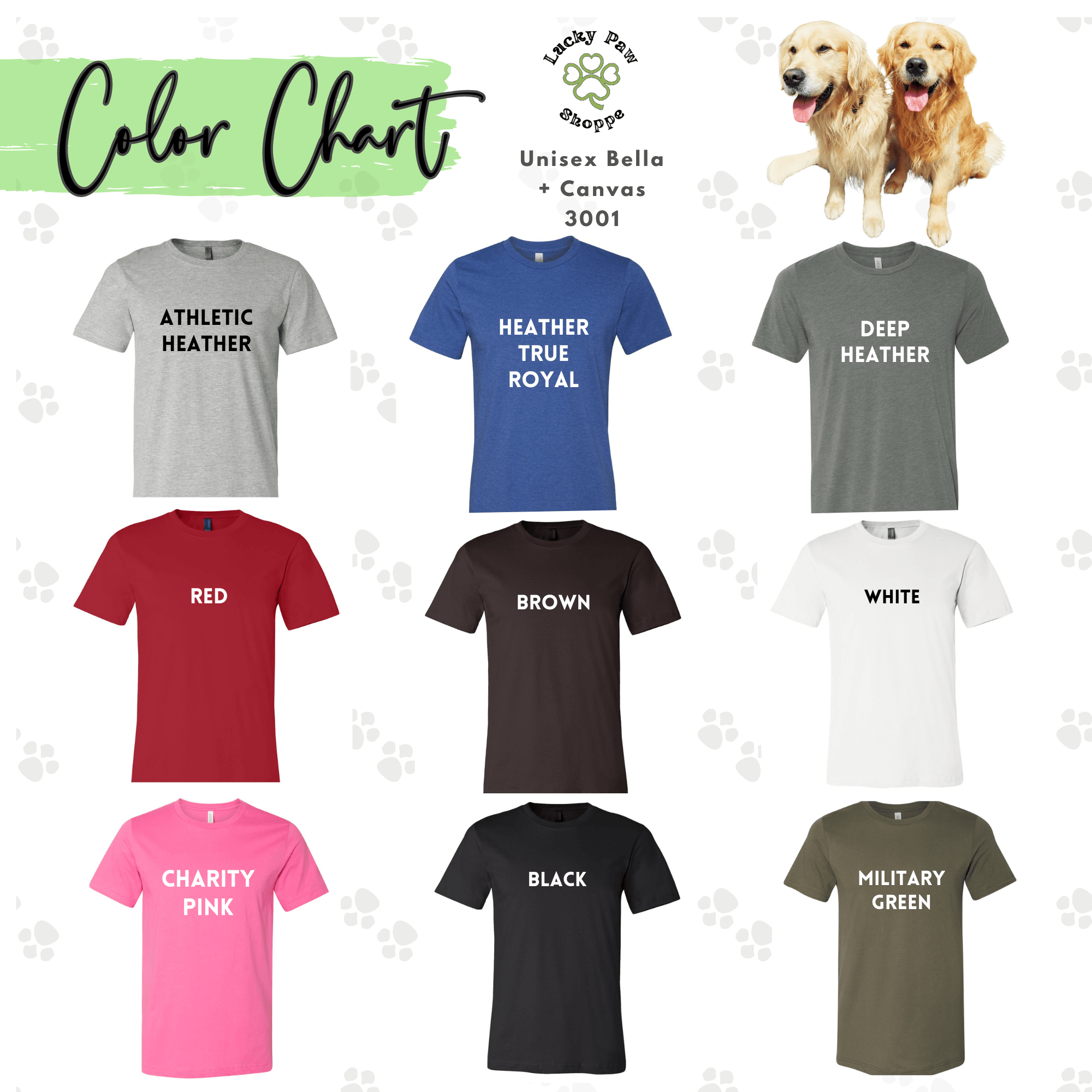 Colorful Collection of Stylish T-Shirts for All