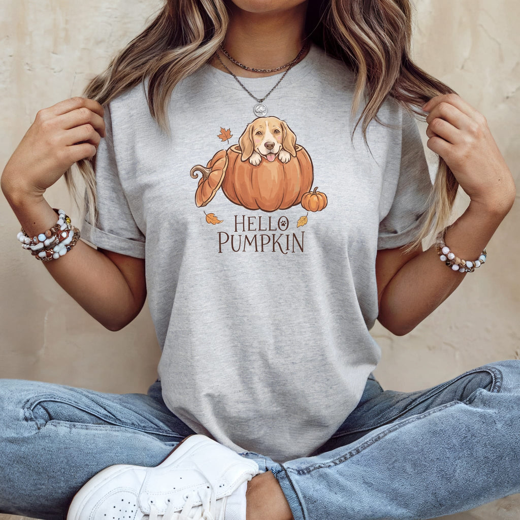 Light grey t-shirt with a dog in a pumpkin illustration and "HELLO PUMPKIN" text.
