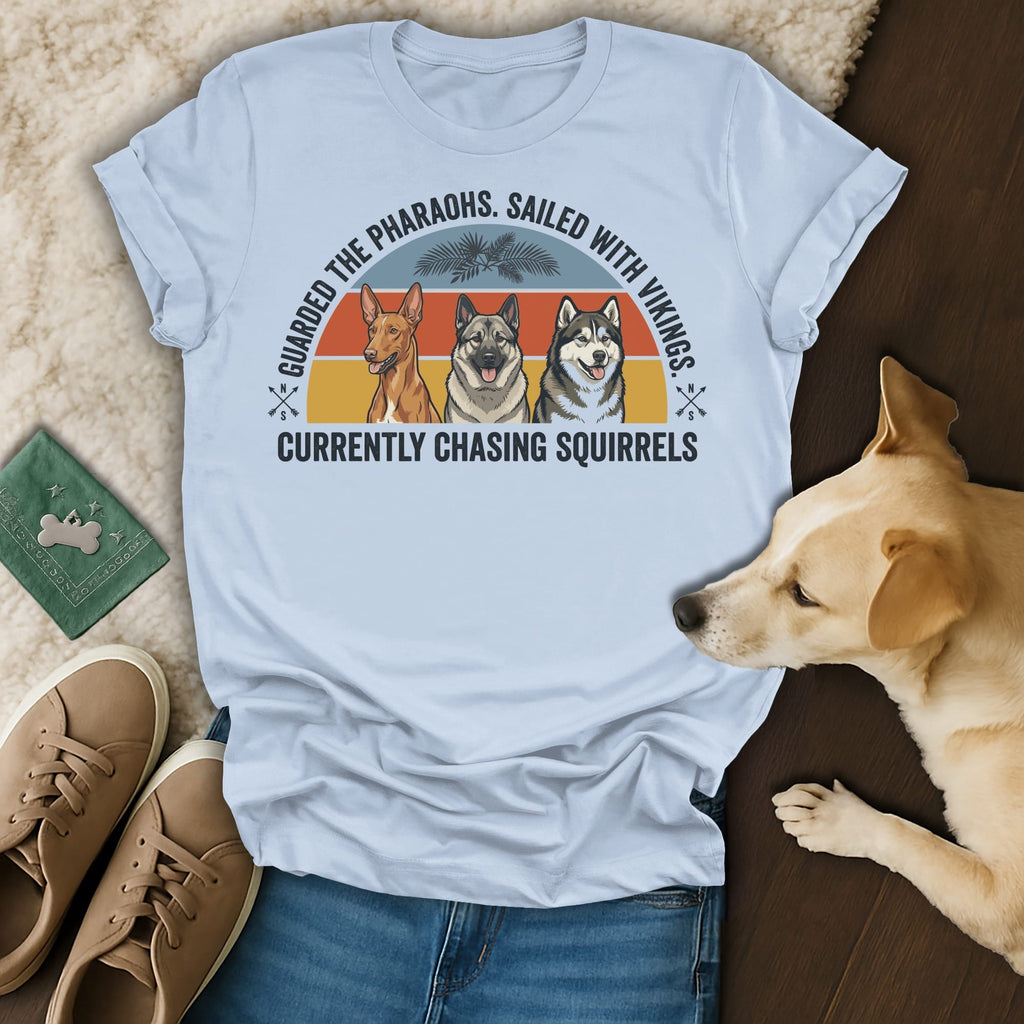 Light blue t-shirt with graphic of three dogs and text about pharaohs, vikings, and squirrels.