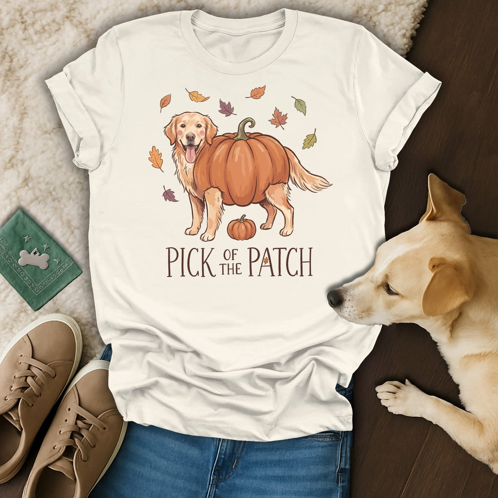 Golden retriever wearing a pumpkin costume with "Pick of the Patch" text.