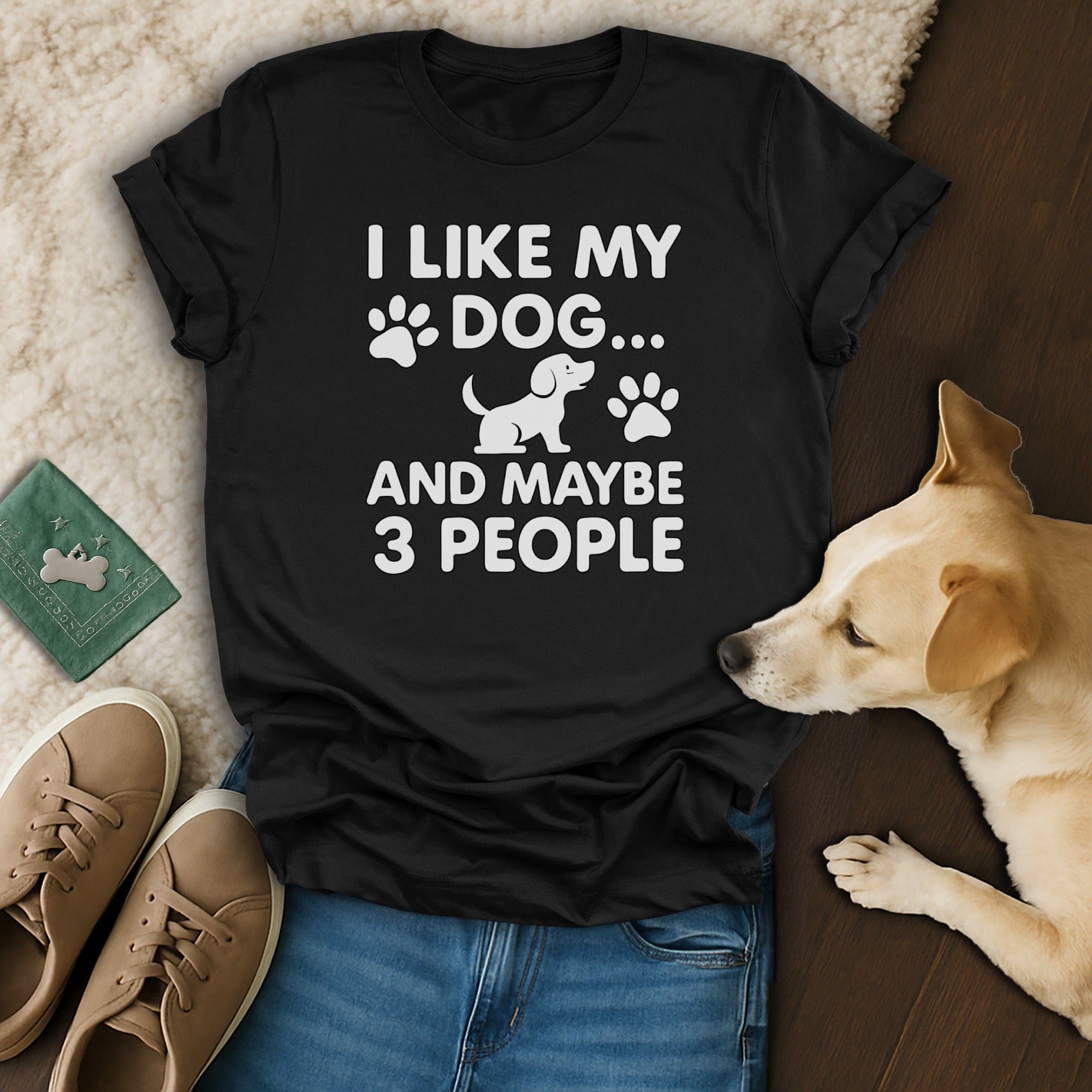 I Like My Dog and Maybe 3 People Graphic T-shirt