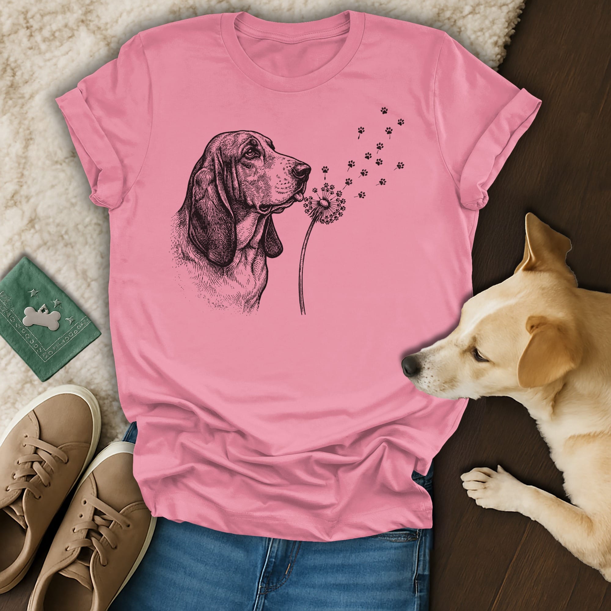 Basset Hound blowing dandelion seeds, pink t-shirt, dog, jeans, sneakers, wooden floor.