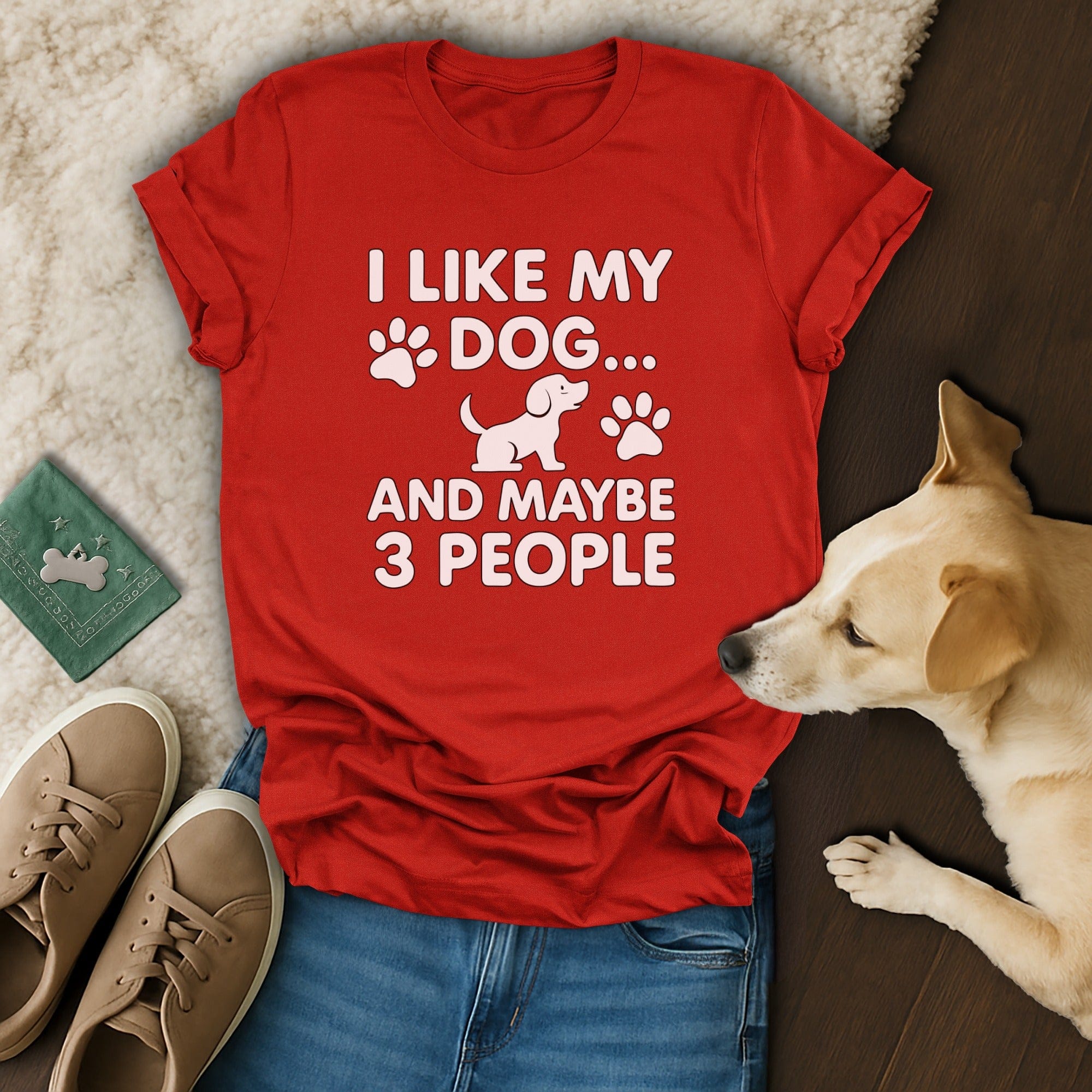I Like My Dog And Maybe 3 People Graphic Tee