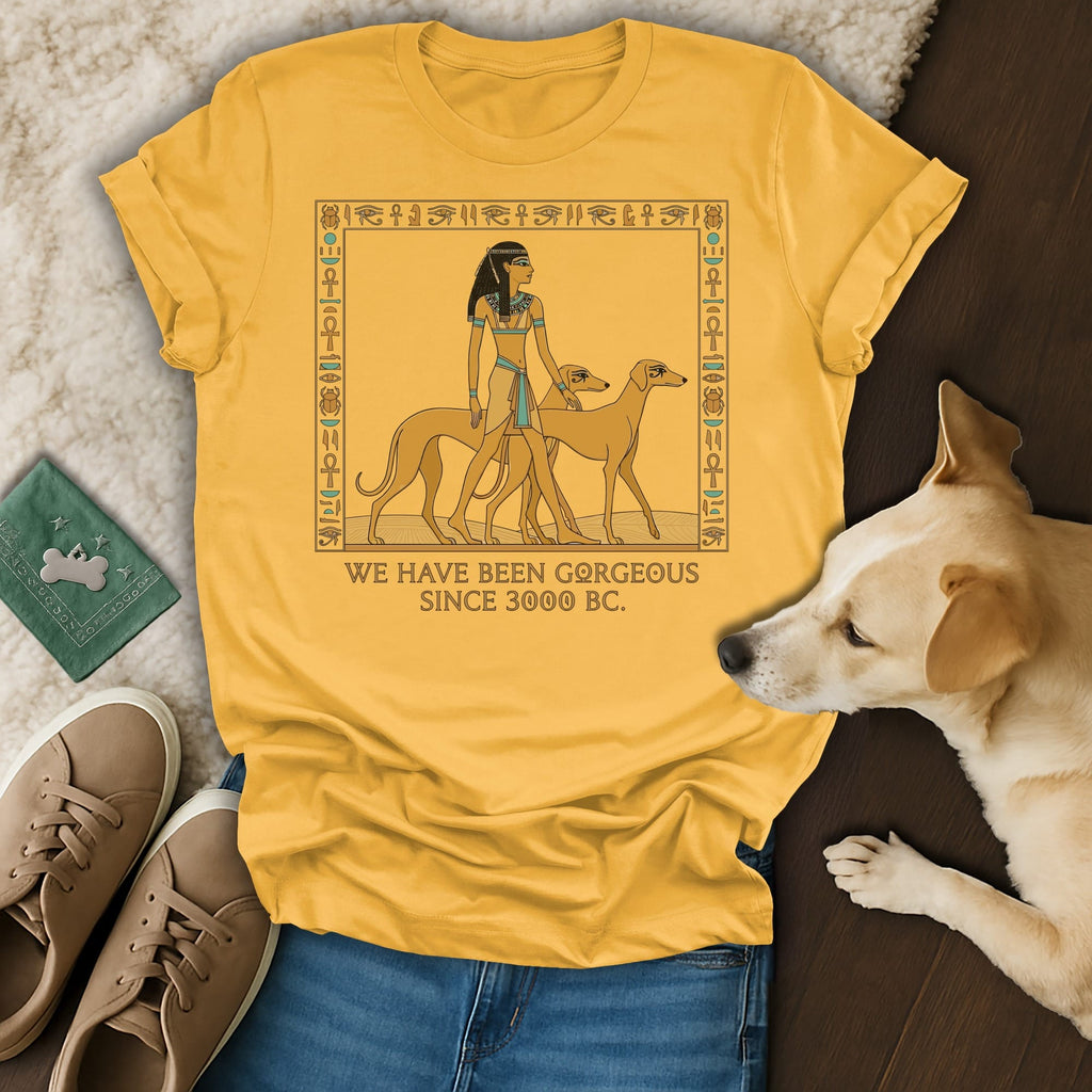 Yellow t-shirt with Egyptian-themed graphic and "We Have Been Gorgeous Since 3000 BC."