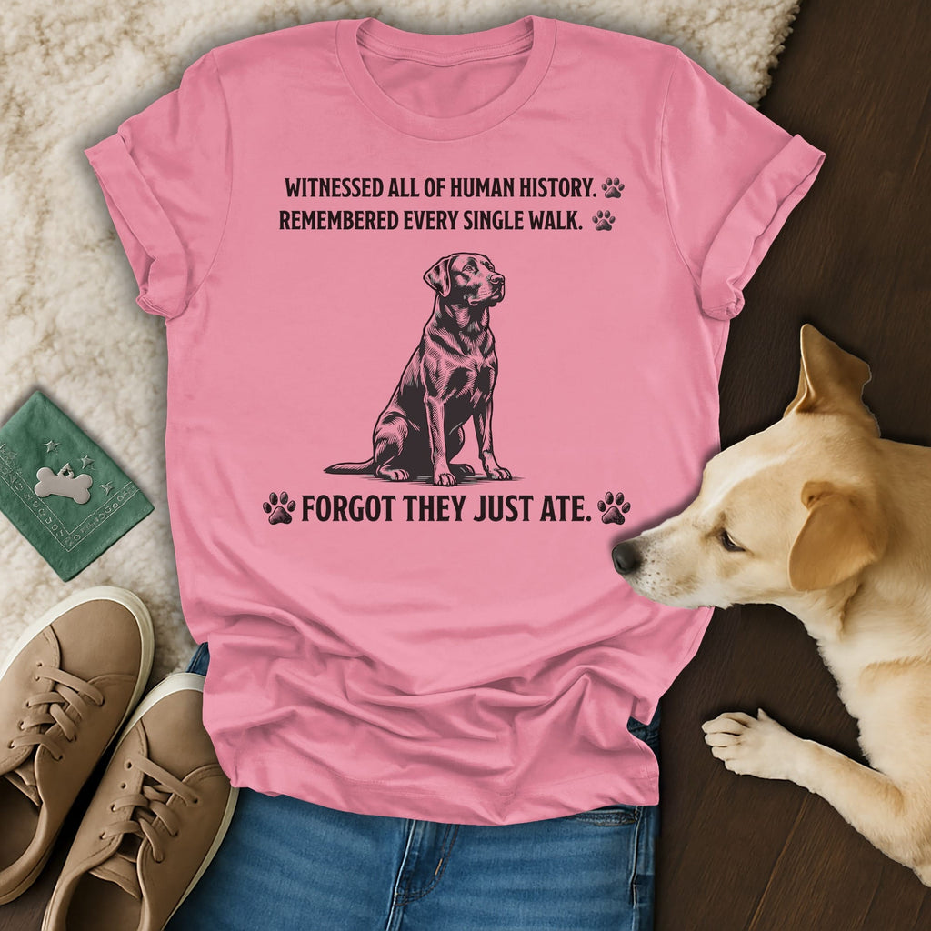 Pink t-shirt with dog, "WITNESSED ALL OF HUMAN HISTORY. REMEMBERED EVERY SINGLE WALK. FORGOT THEY JUST ATE."